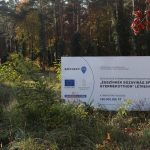 Égszínkék Búzavirág Speciális Gyermekotthon